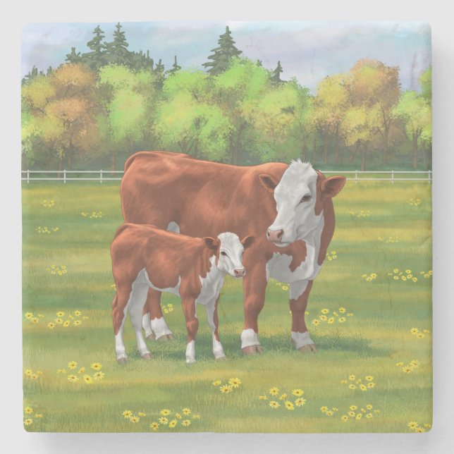Hereford Cow & Niedlich Calf im Sommer Weide Steinuntersetzer (Vorderseite)
