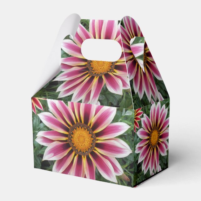 Hereford Geschenkschachtel (Vorderseite)