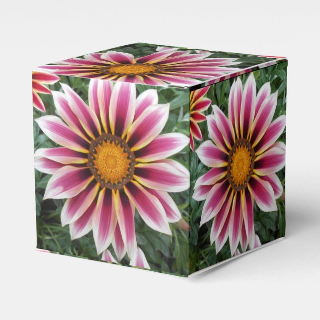 Hereford Geschenkschachtel (Vorderseite)