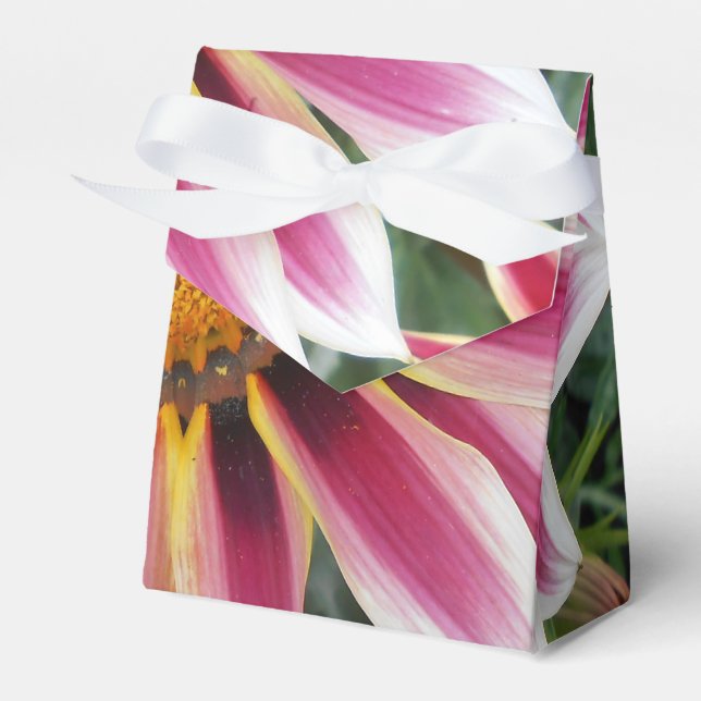 Hereford Geschenkschachtel (Vorderseite)