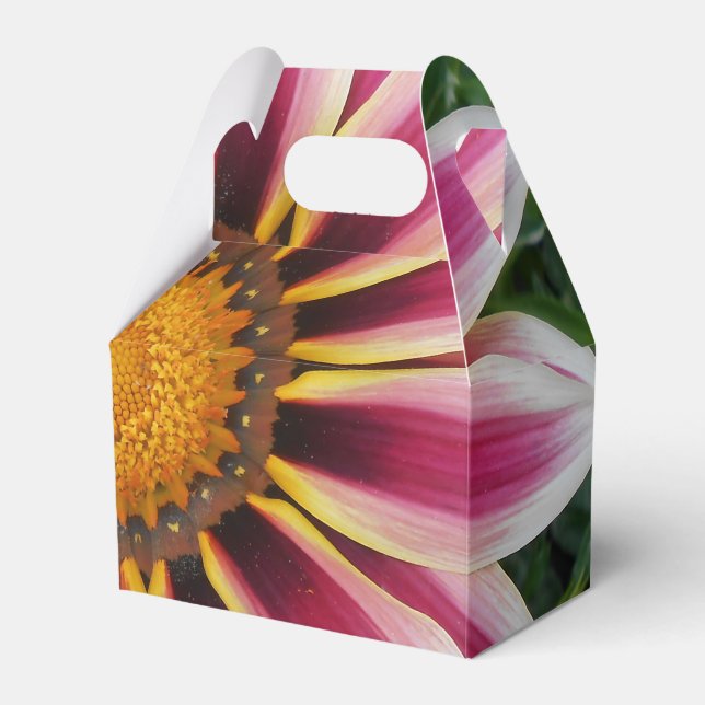 Hereford Geschenkschachtel (Vorderseite)