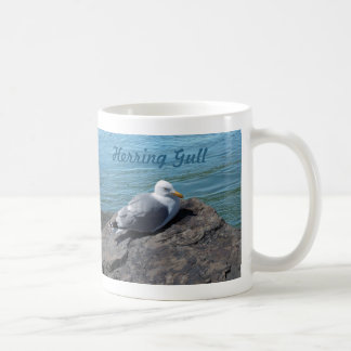 Hering Gull Ruhen auf Felsbesatz: Tasse