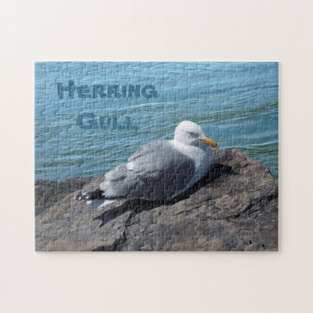 Hering Gull Ruhen auf Felsstein: Puzzle (Horizontal)