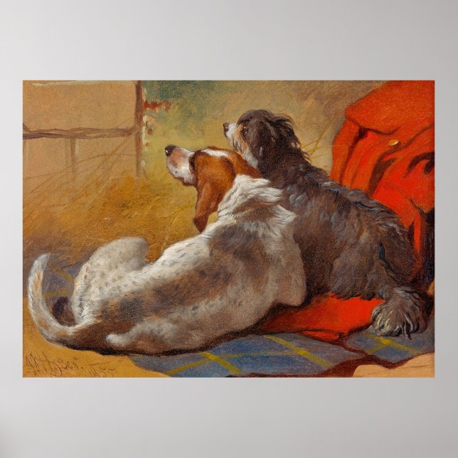 Hering ist ein Hund und eine bärtige Collie Poster (Vorne)