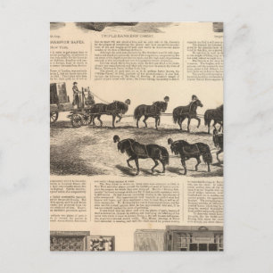 Herings Patentsieger Safes Postkarte