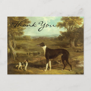 Heringshund und Spaniel; Doctor Fop Postkarte