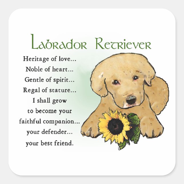 Heritage Gelbe Labrador Welpengeschenke Quadratischer Aufkleber (Vorderseite)