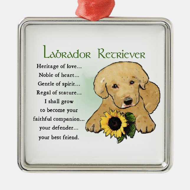 Heritage Gelbe Labrador Welpengeschenke Silbernes Ornament (Vorne)