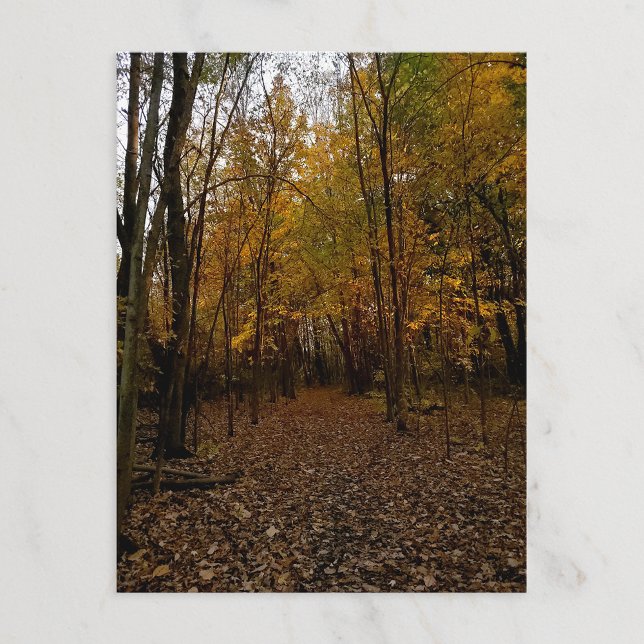 Heritage Park Fall Trail Postcard Feiertagspostkarte (Von Creator hochgeladen)