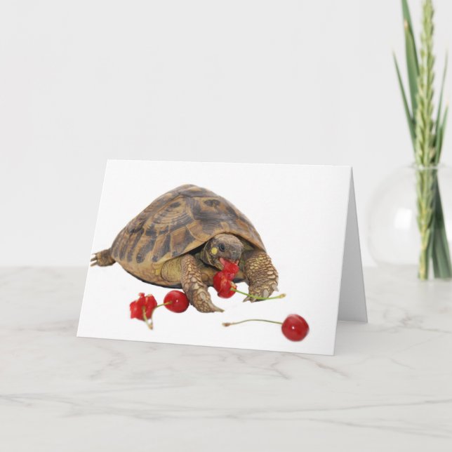 Hermann Schildkröte und Erdbeeren Karte (Vorderseite)