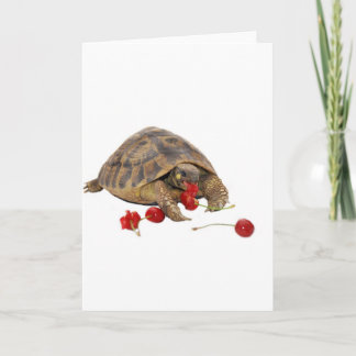 Hermann Schildkröte und Erdbeeren Karte