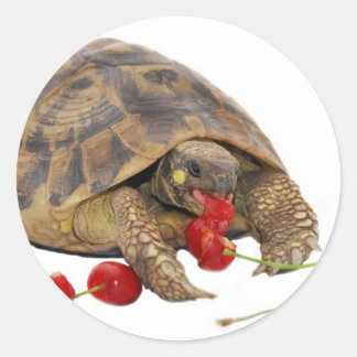 Hermann Tortoise und Strawberries Runder Aufkleber