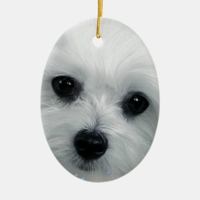 Hermes das maltesische keramikornament (Vorne)