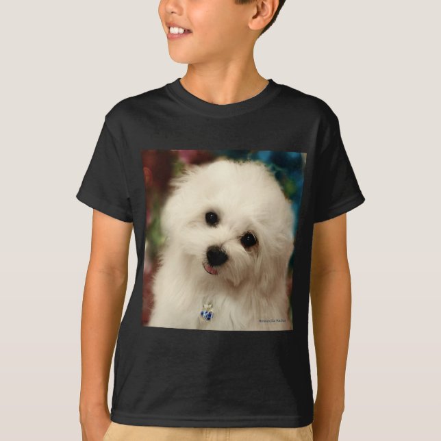 Hermes das maltesische T-Shirt (Vorderseite)
