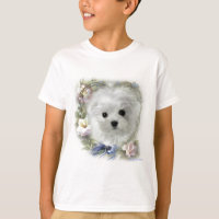 Hermes das maltesische