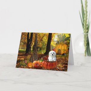 Hermes der Malteser Karte