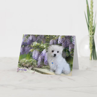 Hermes, die maltesische Geburtstagskarte Karte