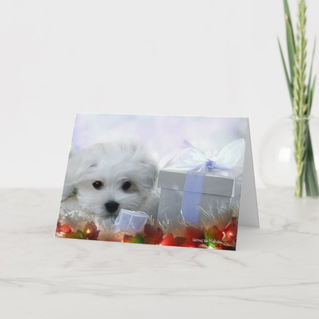 Hermes die maltesische Weihnachtsgruß-Karte Feiertagskarte (Vorderseite)