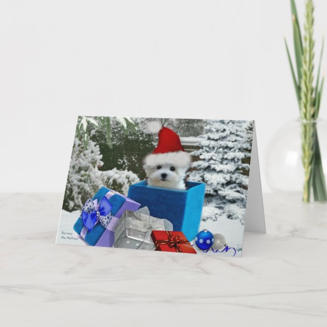 Hermes die maltesische Weihnachtsgruß-Karte Feiertagskarte (Vorderseite)