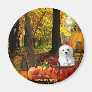 Hermes, Malteser Magnet