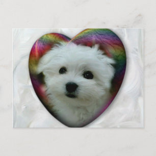 Hermes, Malteser Postkarte