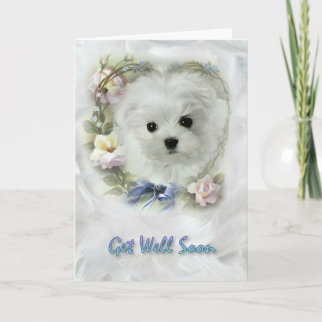 Hermes the Maltese Get Well bald Card Karte (Vorderseite)