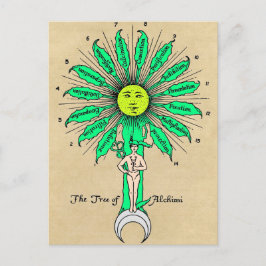 Hermes Tree of Alchemy Mandala Postkarte