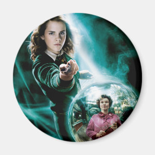 Hermione Granger und Professor Umbridge Magnet