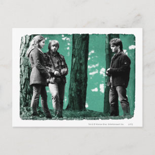 Hermione, Ron und Harry 1 Postkarte