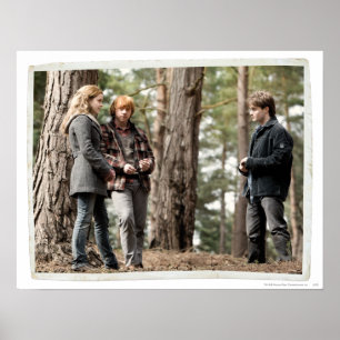 Hermione, Ron und Harry 2 Poster