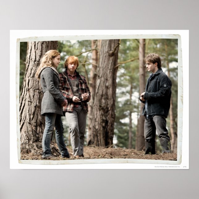 Hermione, Ron und Harry 2 Poster (Vorne)