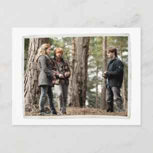 Hermione, Ron und Harry 2 Postkarte