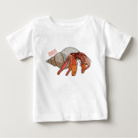 Hermit Crab Cartoon Illustration