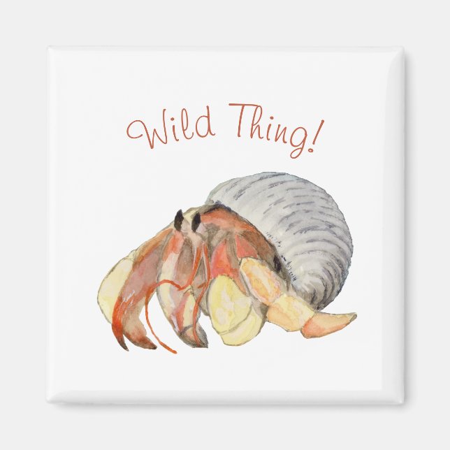 Hermit Crab Magnet (Vorne)