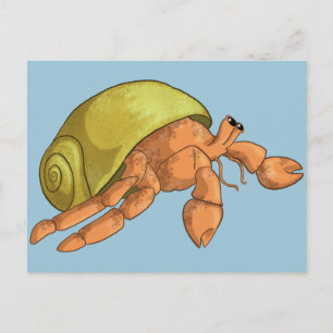 Hermit Crab Postkarte