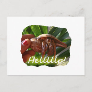 Hermit Crab und Hilfe Text , lustiges Tierdesign Postkarte