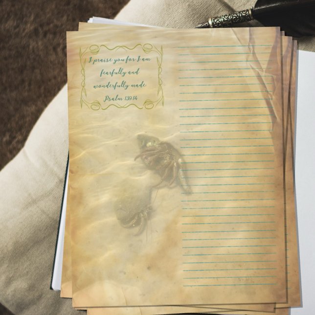 Hermit Crabs Scripture Scrapbook Paper Flyer (Von Creator hochgeladen)