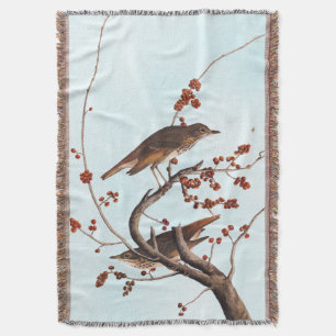 Hermit Thrush Audubon Bird mit Red Berries Decke