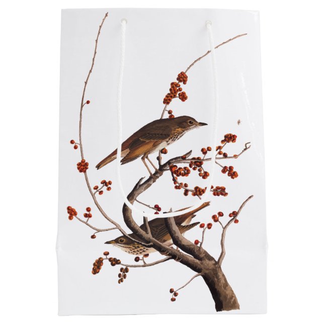 Hermit Thrush Audubon Bird mit Red Berries Mittlere Geschenktüte (Rückseite)
