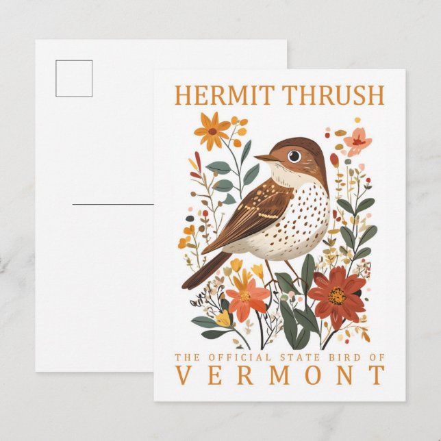 Hermit Thrush Bird von Vermont Travel Postkarte (Vorne/Hinten)