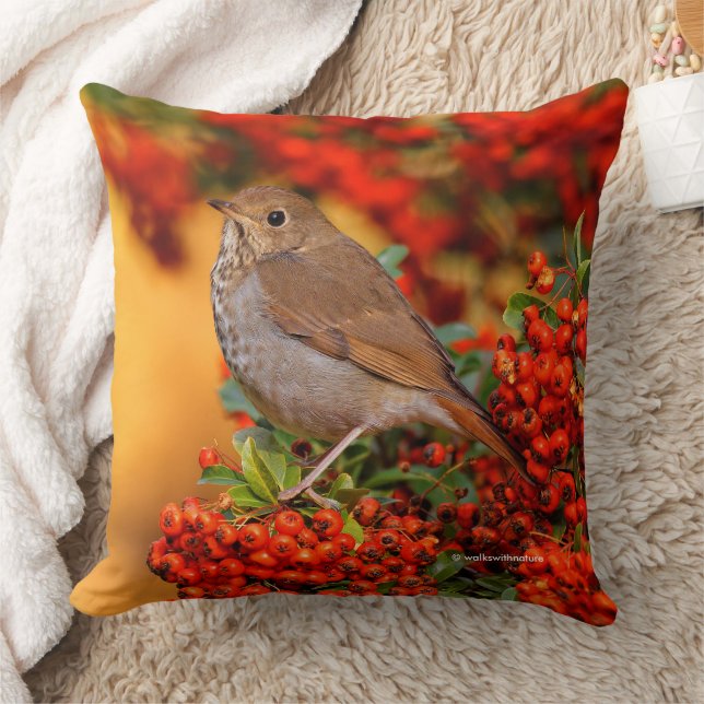 Hermit Thrush Songbird am Scarlet Firethorn Kissen (Decke)