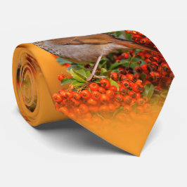 Hermit Thrush Songbird am Scarlet Firethorn Krawatte