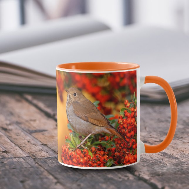 Hermit Thrush Songbird auf Scarlet Firethorn Tasse (Hermit Thrush on Pyracantha Shrub 11 oz Coffee Mug Cover Photo.)