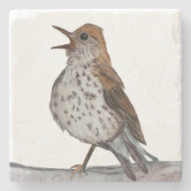 Hermit Thrush Stone Untersetzer