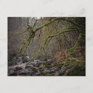 Hermitage Dunkeld im Winter Feiertagspostkarte