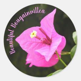 Hermosa Bugambilia Runder Aufkleber