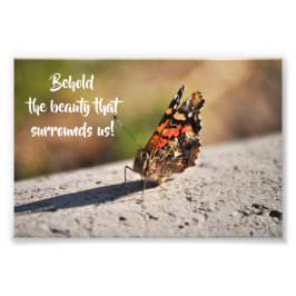Hermosa Mariposa Fotodruck