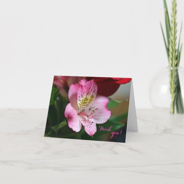 Hermoso Danke, Card Dankeskarte (Vorderseite)