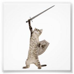 Heroic Warrior Knight Cat Fotodruck