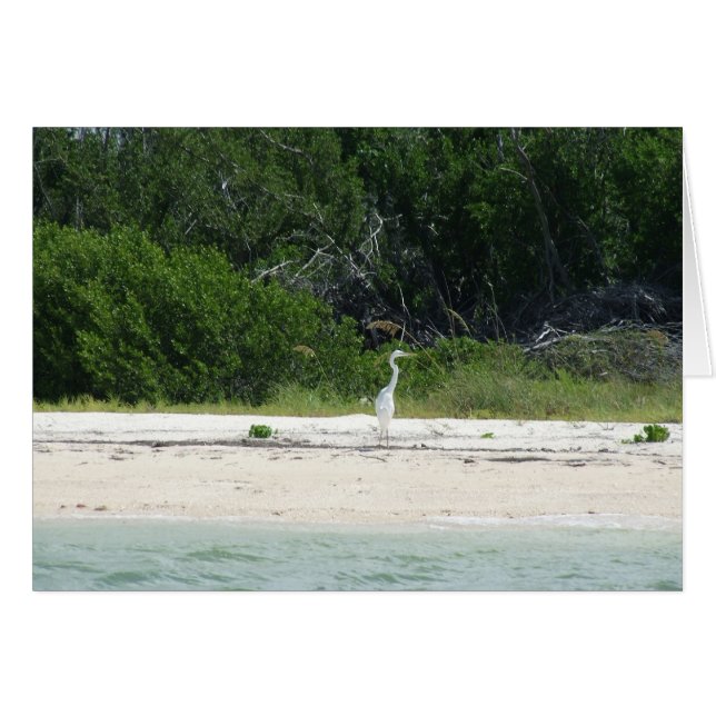 Heron (Vorderseite (Horizontal))